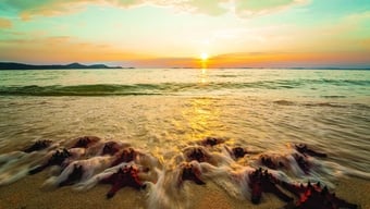 Experimente la pesca nocturna de calamares y la observación de estrellas de mar en la isla de las perlas de Phu Quoc.