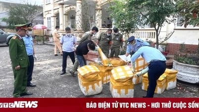 Un camion transportant 750 kg de viscères d'animaux malodorants découvert à Hoa Binh