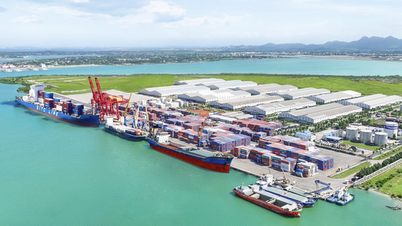 Planificación de 10 muelles en Quang Nam
