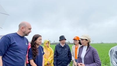 World Vision International au Vietnam améliore les systèmes d'irrigation à Quang Tri