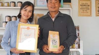 Start a business with a roasted coffee production model