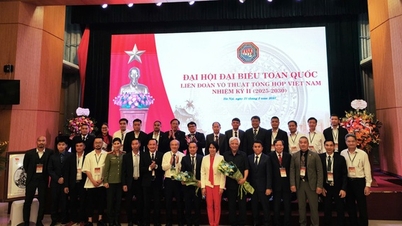 M. Ngo Duc Quynh a été réélu président de la Fédération vietnamienne des arts martiaux mixtes pour un deuxième mandat.