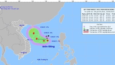 En las próximas 24 horas, la depresión tropical podría fortalecerse y convertirse en tormenta.