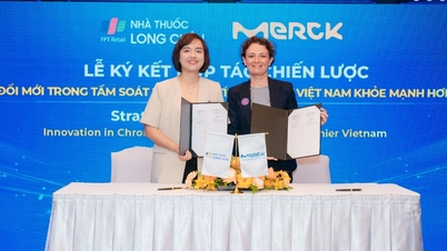Long Chau и Merck внедряют бесплатный скрининг ради оздоровления Вьетнама