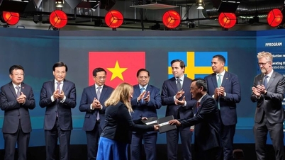 Vietnam Airlines cooperates with Scandinavian Airlines, opening up opportunities to explore Northern Europe