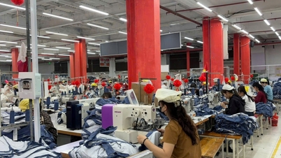 Credit in Nghe An province grows positively
