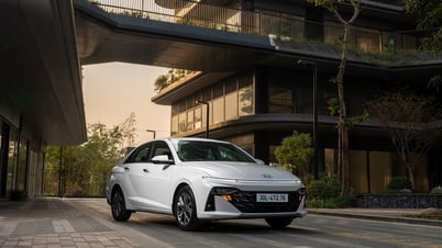 TC Group ប្រកាសលទ្ធផលលក់ Hyundai សម្រាប់ខែឧសភា ឆ្នាំ 2025