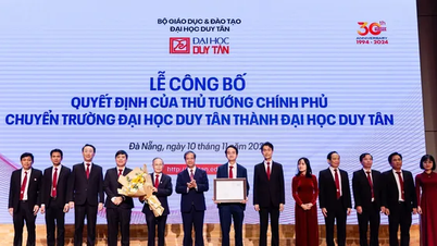 Duy Tan - 大学の地位
