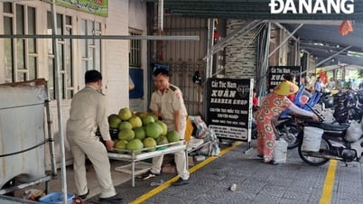 ソンチャ地区は建築秩序と都市秩序の管理を確実にします。