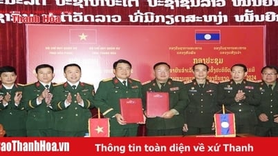 Carry out defense diplomacy work in depth and firmly