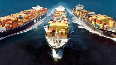 Las tarifas del transporte marítimo aumentan drásticamente, las empresas deberían considerar opciones alternativas