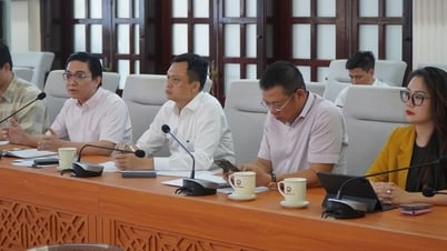 항공 연결성 확대