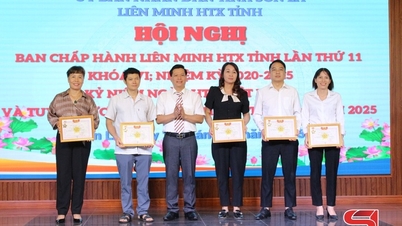 Phát huy vai trò của kình tế tập thể đổi mới, sáng tạo