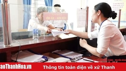 응이손 타운, 신규 구역 및 공동체 운영 시험
