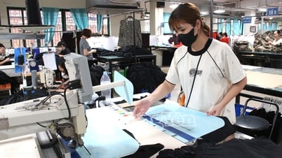 Las empresas utilizan la electricidad de forma económica y eficiente