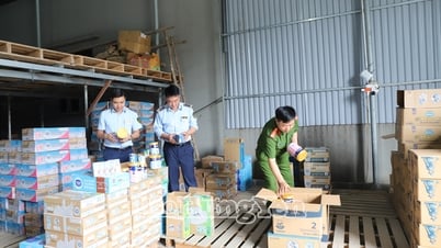 Luchar resueltamente contra las falsificaciones y los productos falsificados
