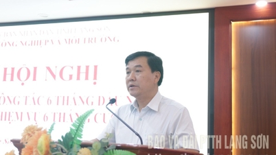 Ngành Nông nghiệp và Môi trường triển khai nhiệm vụ 6 tháng cuối năm