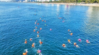 Les nageurs conquièrent la plus belle baie du monde au SeaStar Nha Trang Bay 2025