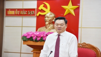 Hoang Duy Chinh, Parteisekretär der Provinz Bac Kan: Die Vereinigung wird stärker und stabiler