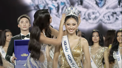 Nguyen Hoang Phuong Linh crowned Miss Universe Vietnam 2025