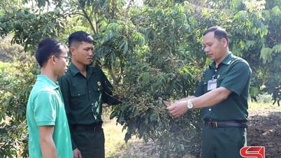Cựu chiến binh giúp nhau làm kinh tế