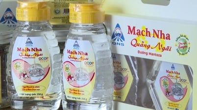 Quang Ngai tiene 02 productos que logran OCOP de 5 estrellas