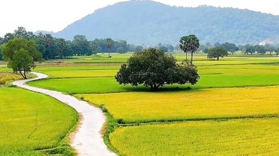 Về An Giang du lịch ngày hè