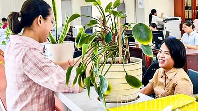 Kho bạc Nhà nước khu vực XIII: Đảm bảo ngân sách cho hoạt động chính quyền địa phương 2 cấp