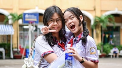 Những việc phải làm sau khi biết điểm chuẩn lớp 10 TPHCM, tránh mất cơ hội học