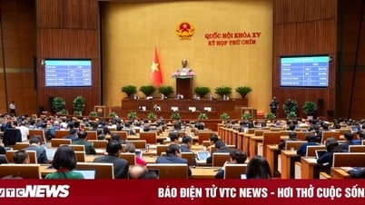 Национальная ассамблея завершает разработку серии мер по поощрению частных предприятий к строительству железных дорог
