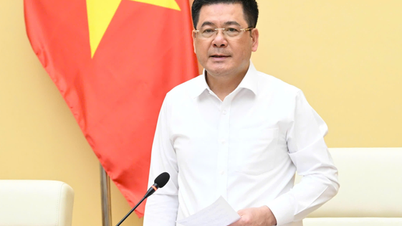 Ministry of Industry and Trade sets up hotline to support localities in implementing decentralization and delegation of authority