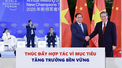 Thúc đẩy hợp tác vì mục tiêu tăng trưởng bền vững 