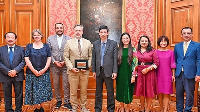 Strengthening cultural cooperation between Vietnam and the Czech Republic