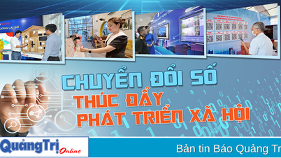Thúc đẩy chuyển đổi số đáp ứng yêu cầu sắp xếp tổ chức bộ máy hệ thống chính trị
