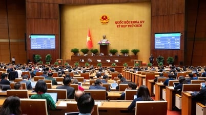 National Assembly 'finalizes' many special mechanisms and policies for building nuclear power plants
