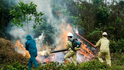 Chủ động công tác phòng cháy, chữa cháy rừng