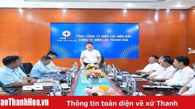 ក្រុមហ៊ុនអគ្គិសនី Thanh Hoa ផ្តល់ការបណ្តុះបណ្តាលស៊ីជម្រៅអំពីសុវត្ថិភាព និងប្រតិបត្តិការ ដើម្បីបំពេញតាមគំរូថ្មី។