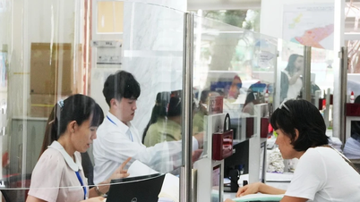 TP.HCM kết nối, thử nghiệm tiếp nhận, giải quyết thủ tục hành chính trên Cổng dịch vụ công quốc gia từ 18 giờ 27/6