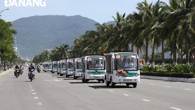 Thông tin về việc tạm dừng hoạt động xe điện bốn bánh