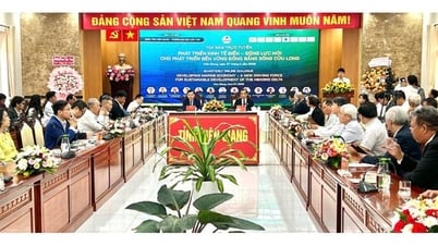 Marine economy: New driving force for sustainable development of the Mekong Delta
