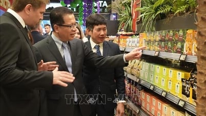The first 'Vietnam Corner' at a major Russian supermarket chain