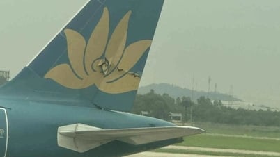 Vụ 2 máy bay Vietnam Airlines va quệt tại Nội Bài: Đình chỉ 4 phi công