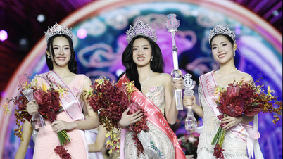 Miss Vietnam 2024 named Ha Truc Linh, a girl from Phu Yen
