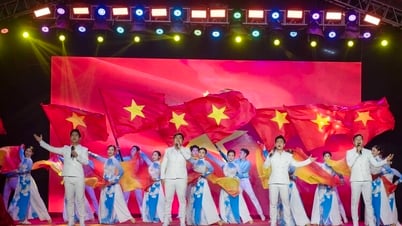 Programa de arte "An Giang, Kien Giang: Una provincia, una visión, una acción, una creencia"