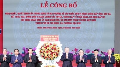 Ngày hội non sông