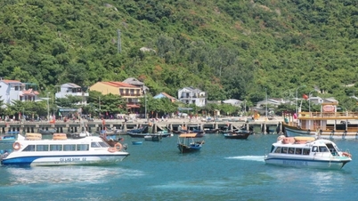 Cu Lao Cham : d'une île patrimoniale à un noyau biologique côtier