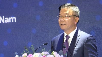 Deputy Prime Minister Le Thanh Long: 'Comprehensive digital transformation in the healthcare sector'