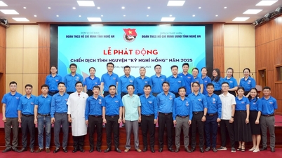 Many meaningful activities in the volunteer campaign "Pink Holiday" of the Provincial People's Committee