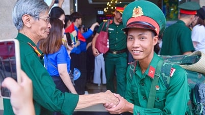 Veterans shake hands and salute each soldier on duty A80