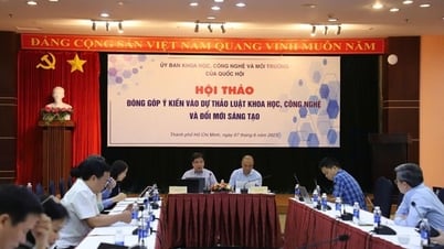Completing the Draft Law on Science, Technology and Innovation: Emphasizing the State's coordinating role and linking the three parties